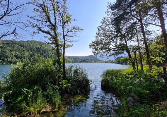 Gemütliche Rundwanderung um den See